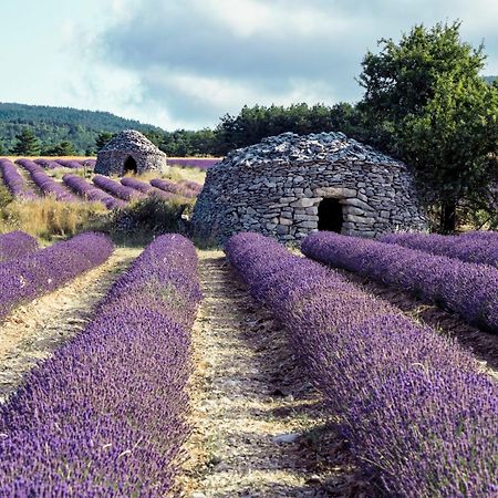 Le Cabanon Des Lavandes Entre Mont Ventoux Et Luberon Sault-de-Vaucluse Exterior foto